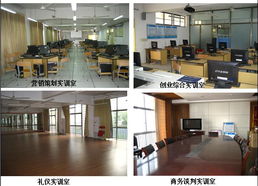 市場營銷策劃精品課程網(wǎng)站 賦能新時代營銷人才的數(shù)字平臺